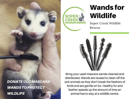 Did you know your old mascara wands can be re-used to protect wildlife?