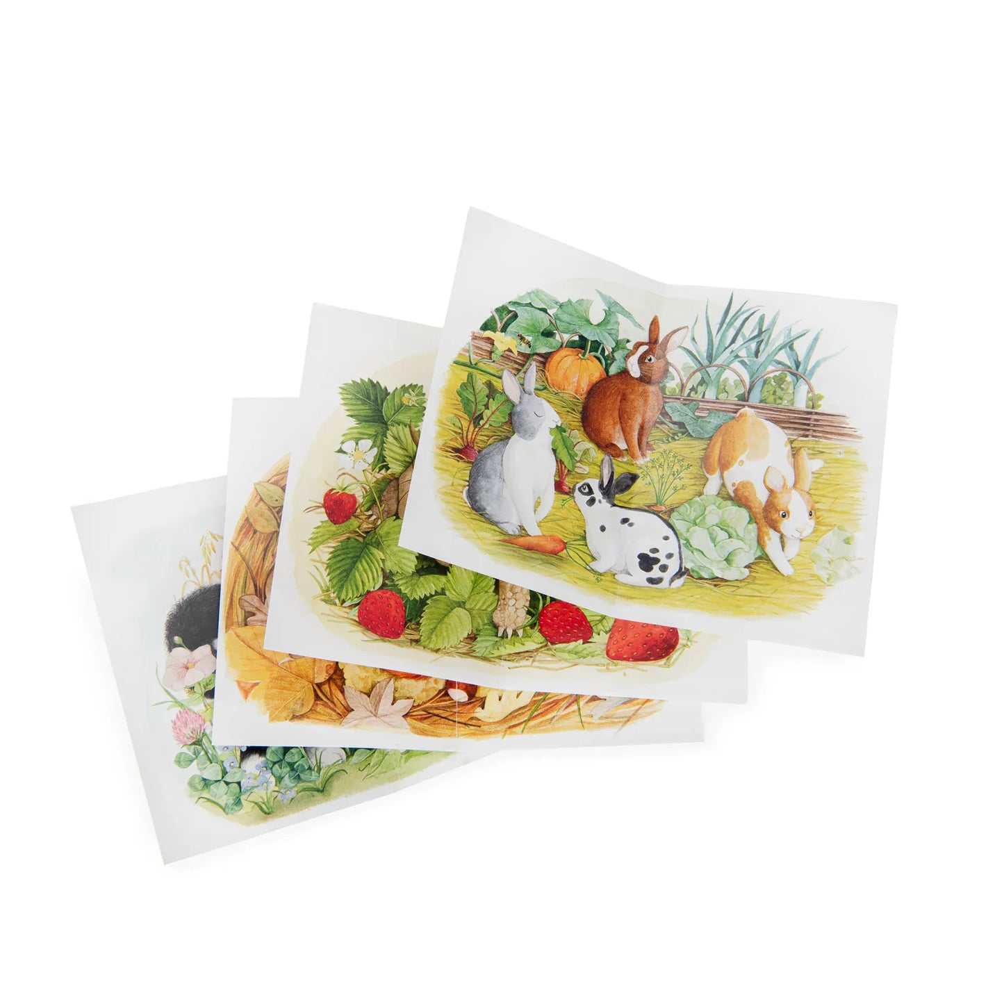 Grand Famille Animal Mini Puzzles - Set of 4 x 12pcs | prettycleanshop