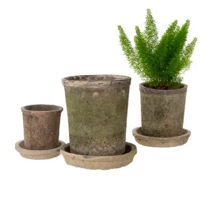 Aged Clay Pots & Saucers - Antique Blackstone
