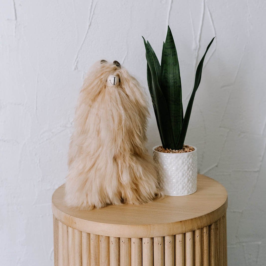 Alpaca Fur Standing Suri Alpaca Stuffy | prettycleanshop