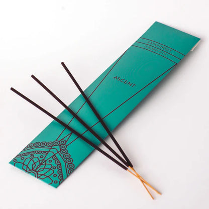 Ascent Incense Sticks Home Between Heaven and Earth Rainforest Prettycleanshop