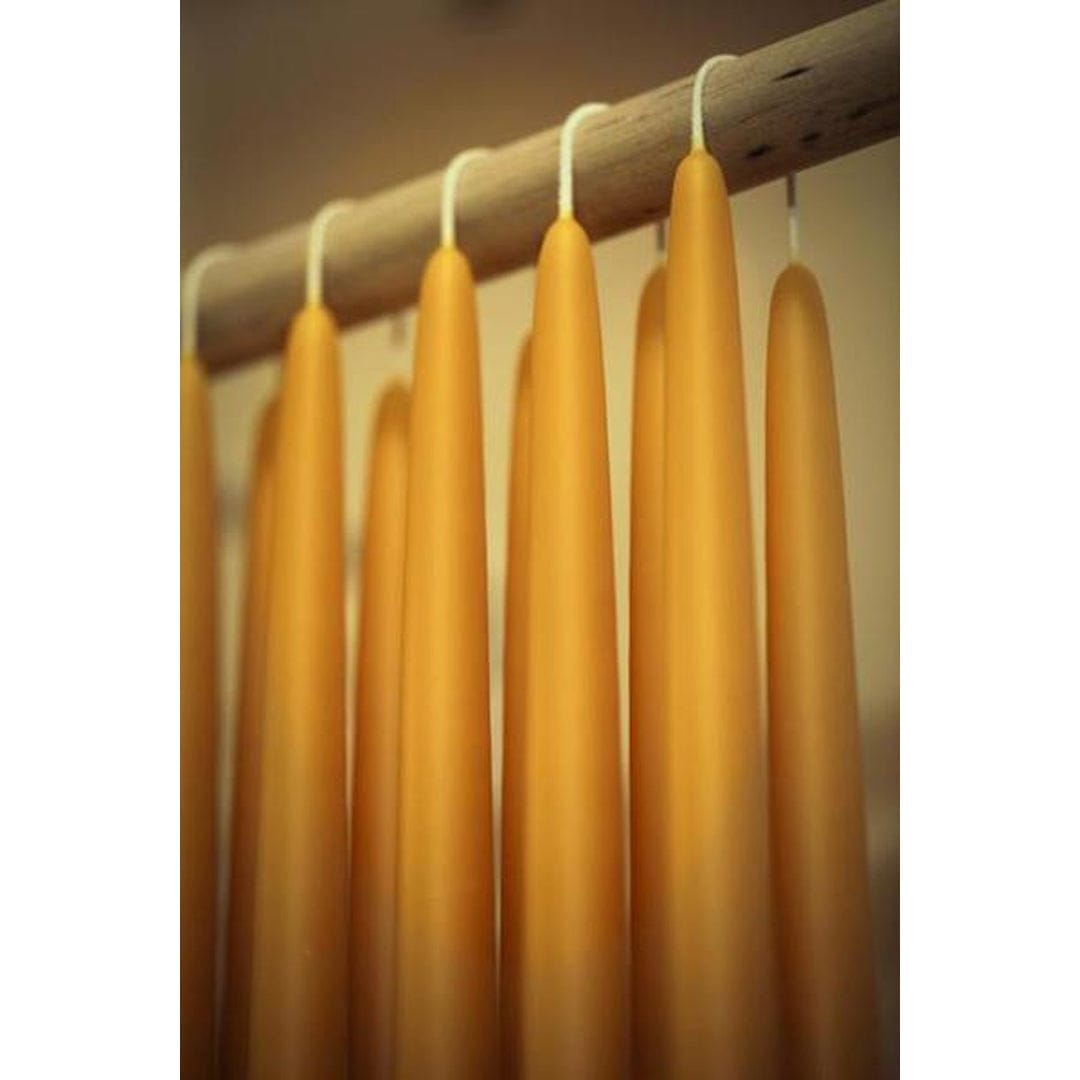 Beeswax Hand Dipped Taper Pair Candles - 8 inch | prettycleanshop