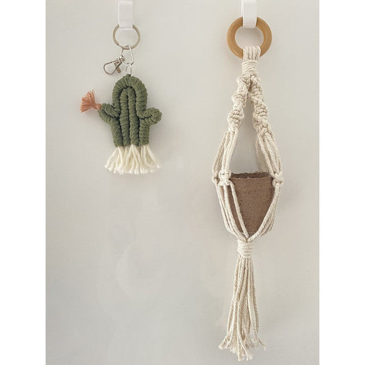 DIY Macramรฉ Hanger w/ Cacti and Pot Kit