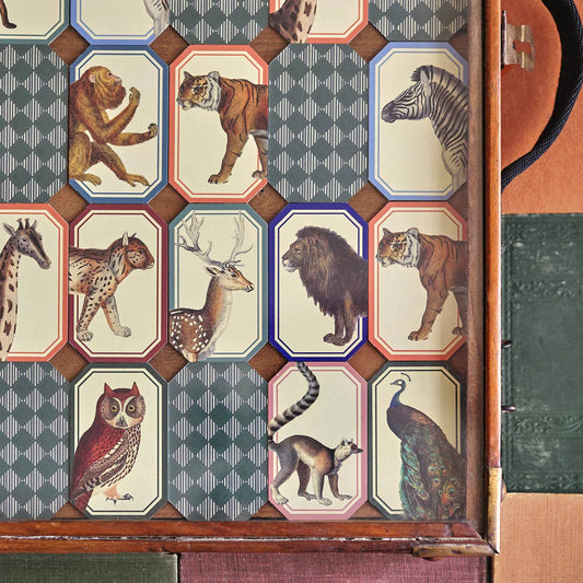 Memory Game - Animal Kingdom | prettycleanshop.myshopify.com