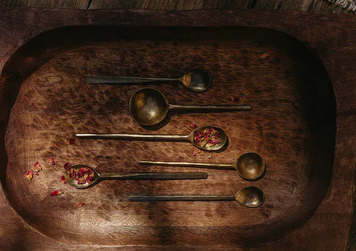 Iron Spoon | prettycleanshop
