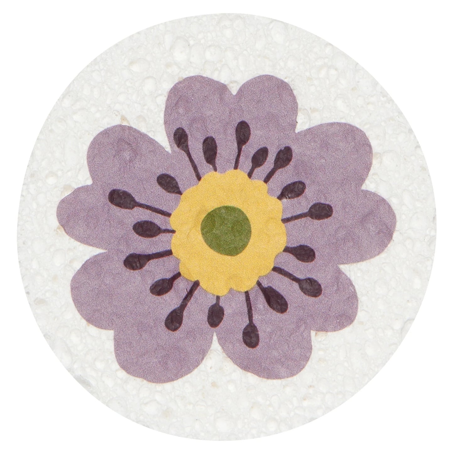 Compostable Sponges Market Day - Various Designs