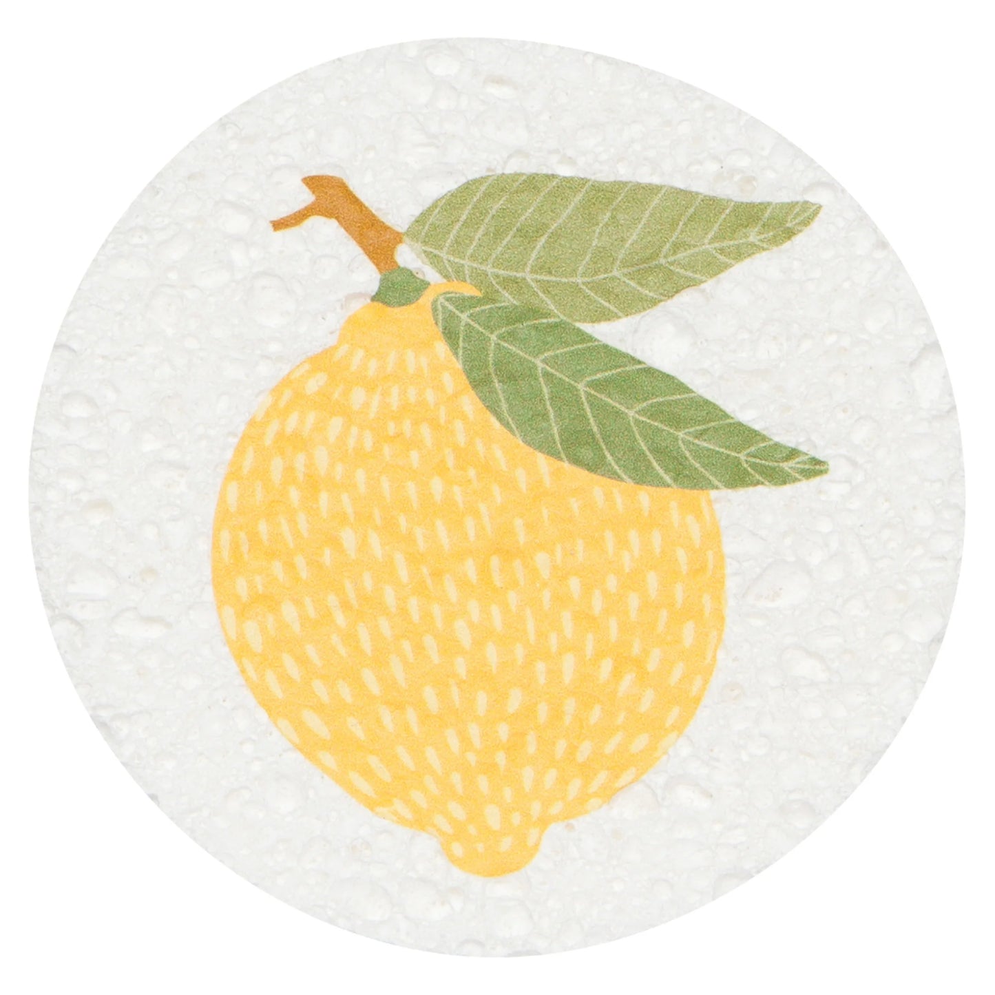 Compostable Sponges Market Day - Various Designs