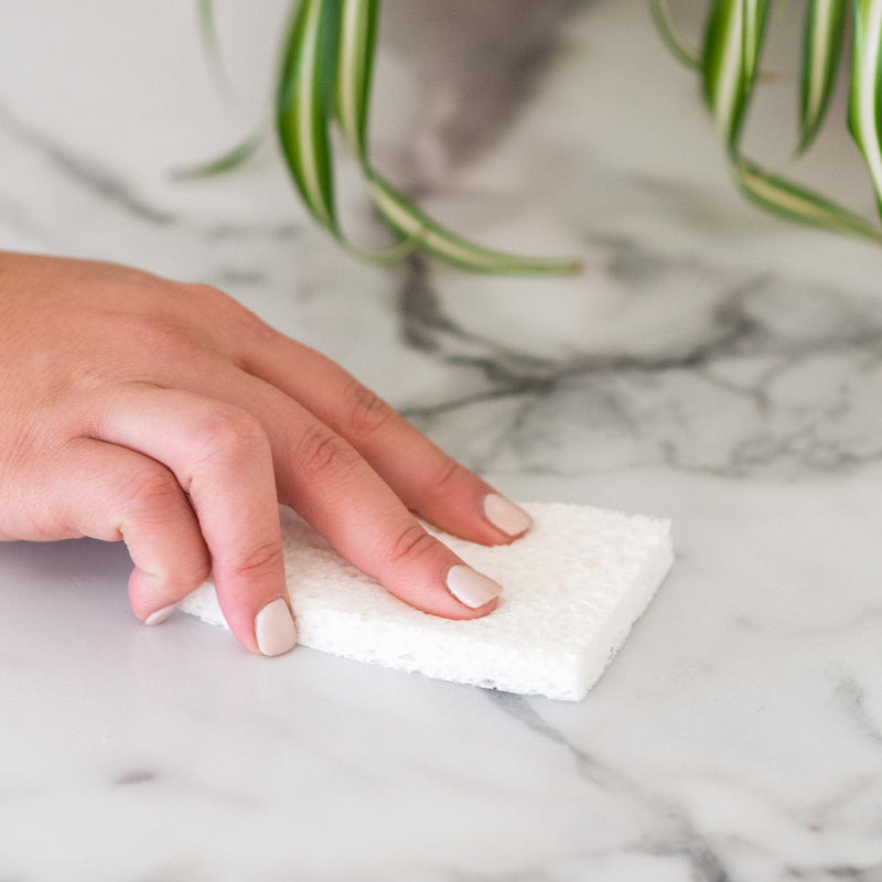 Plain Jane Sponges - Set of 3