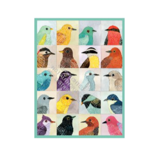 Avian Friends - 1000 Piece Puzzle