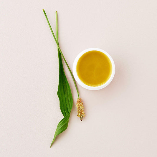 Substance Nipple Cream