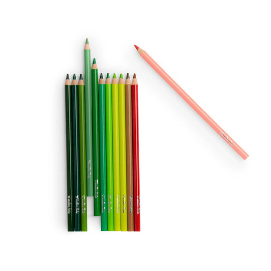 Colouring Pencils - Set of 12 Various Designs | prettycleanshop.myshopify.com