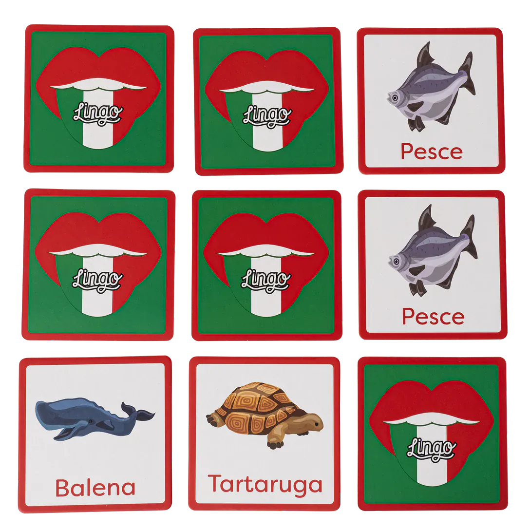 Lingo Cards - Language Memory Game | prettycleanshop