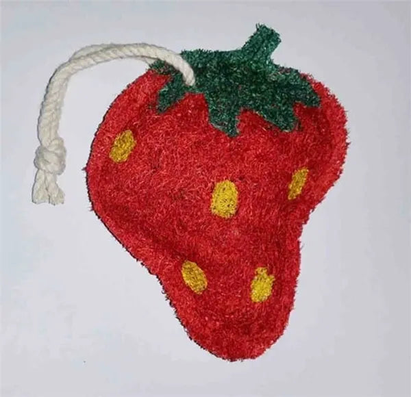 Dish Natural Loofah