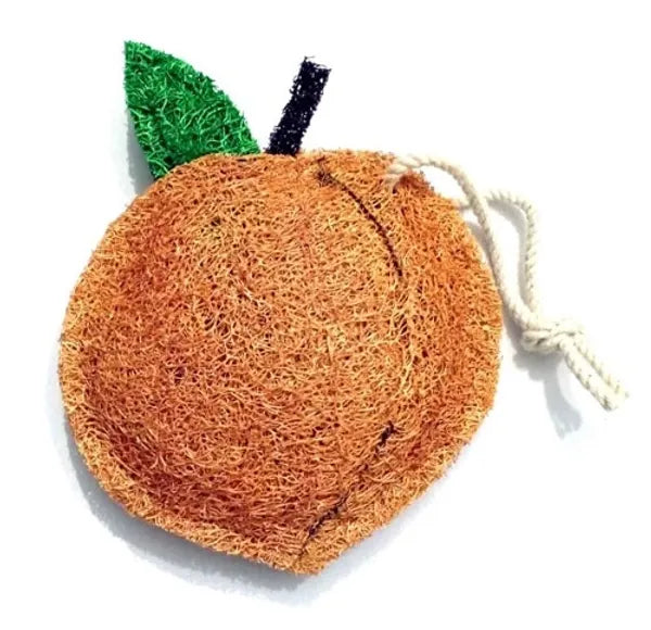 Dish Natural Loofah
