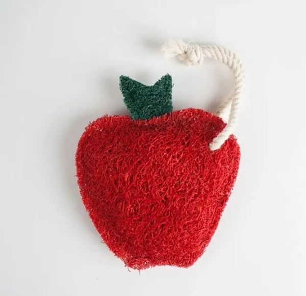 Dish Natural Loofah