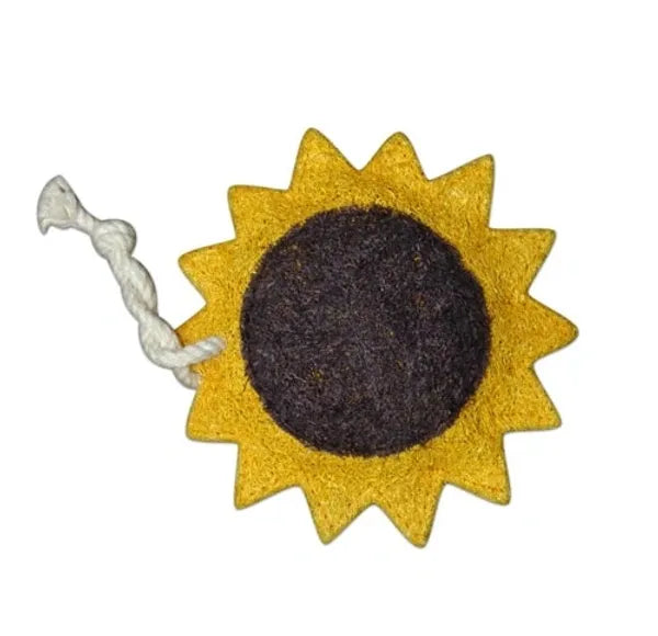 Dish Natural Loofah