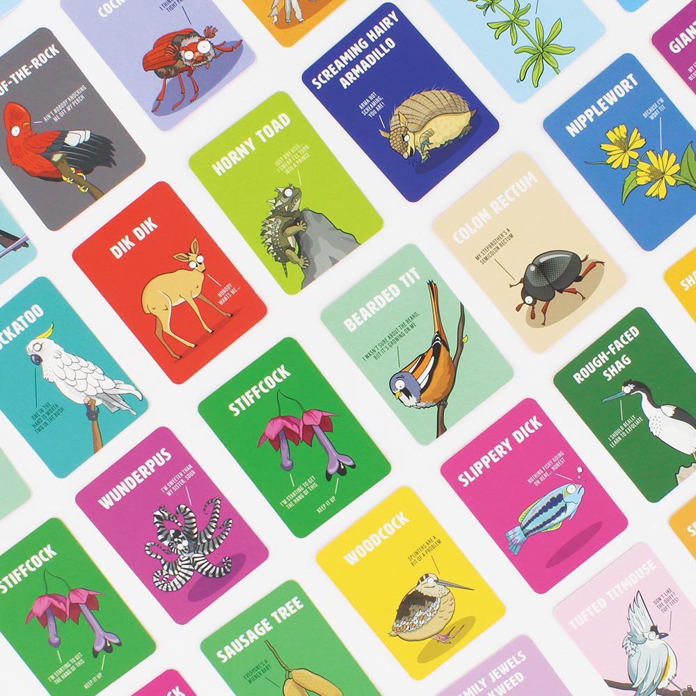 Don’t Be A Dik Dik Card Game by Ginger Fox Games Ginger Fox Prettycleanshop