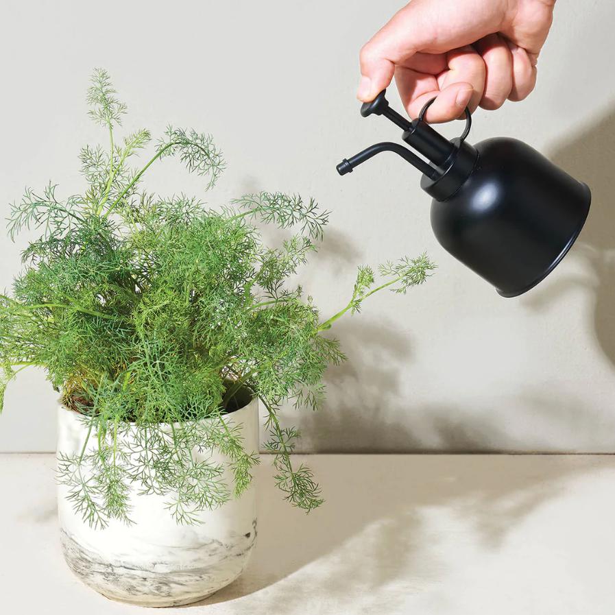 Modern Sprout Mister - Matte Black Living Modern Sprout Prettycleanshop