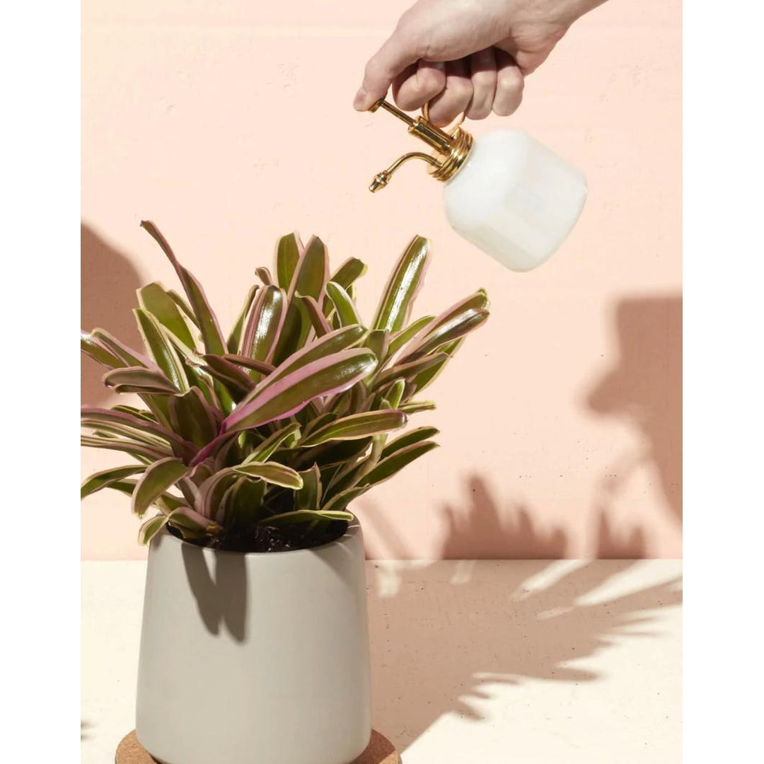 Modern Sprout Mister - White Glass and Brass Living Modern Sprout Prettycleanshop