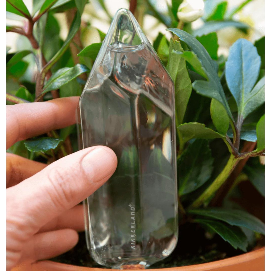 Plant Watering Crystal Living Kikkerland Prettycleanshop