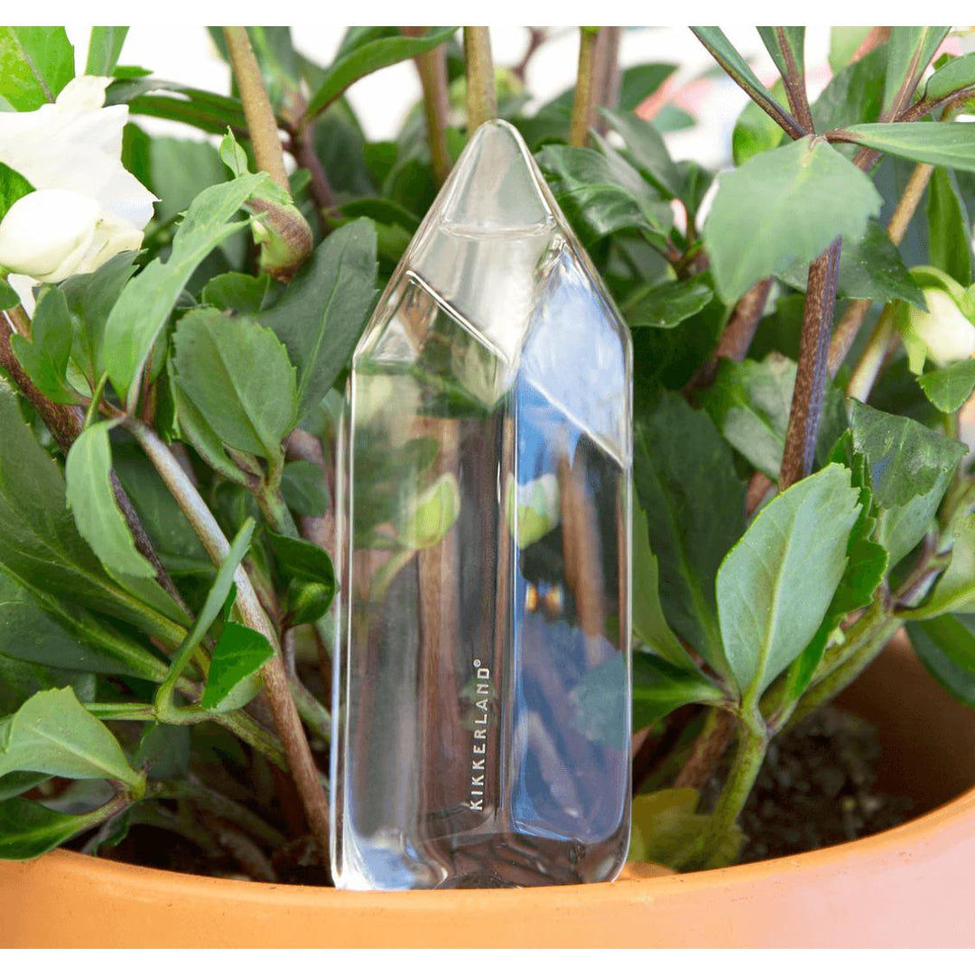 Plant Watering Crystal Living Kikkerland Prettycleanshop