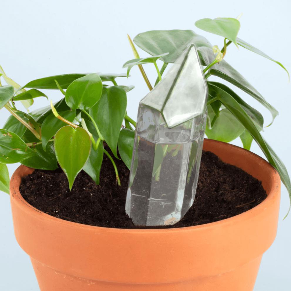 Plant Watering Crystal Living Kikkerland Prettycleanshop
