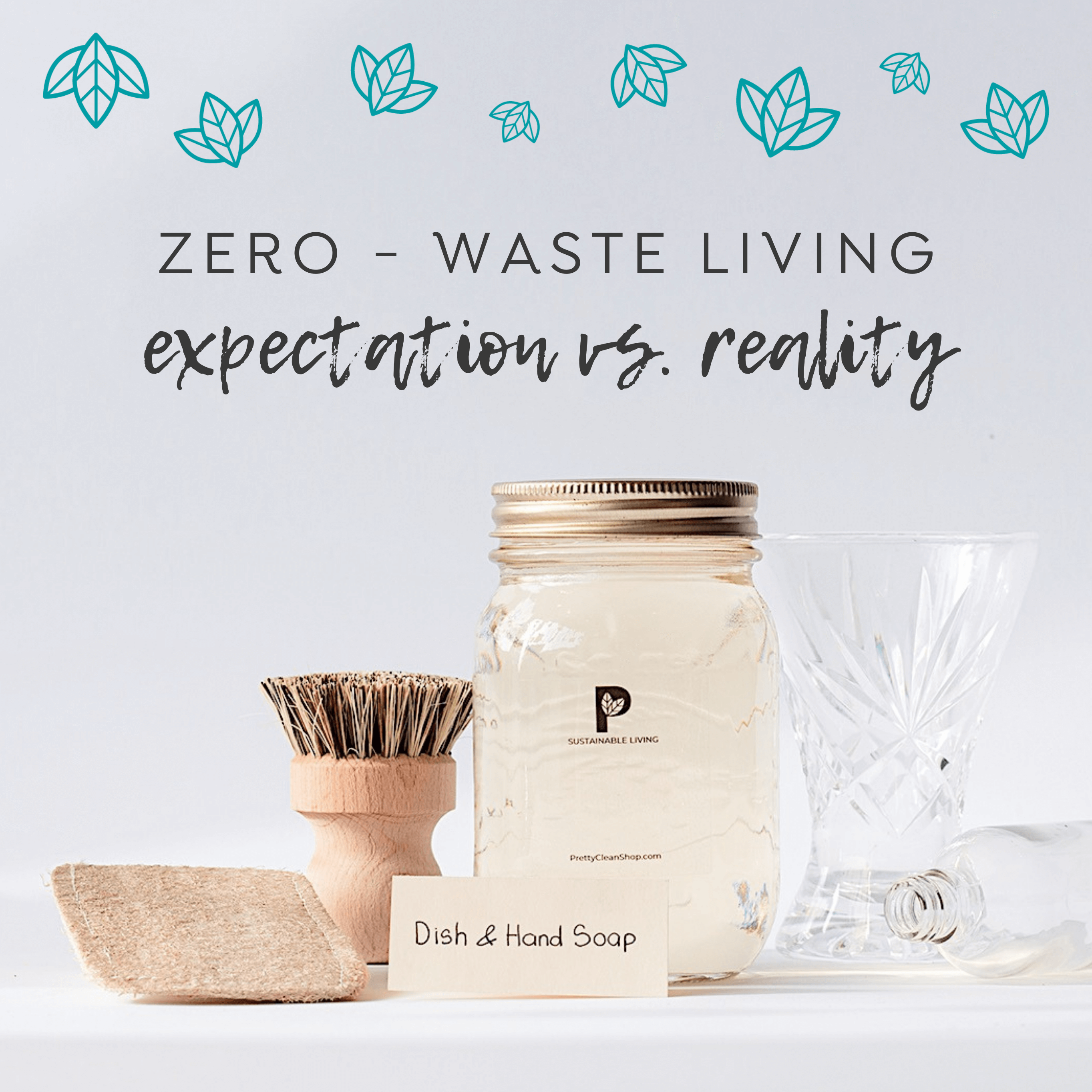 Zero-Waste Living: Expectation vs. Reality | Pretty Clean Shop