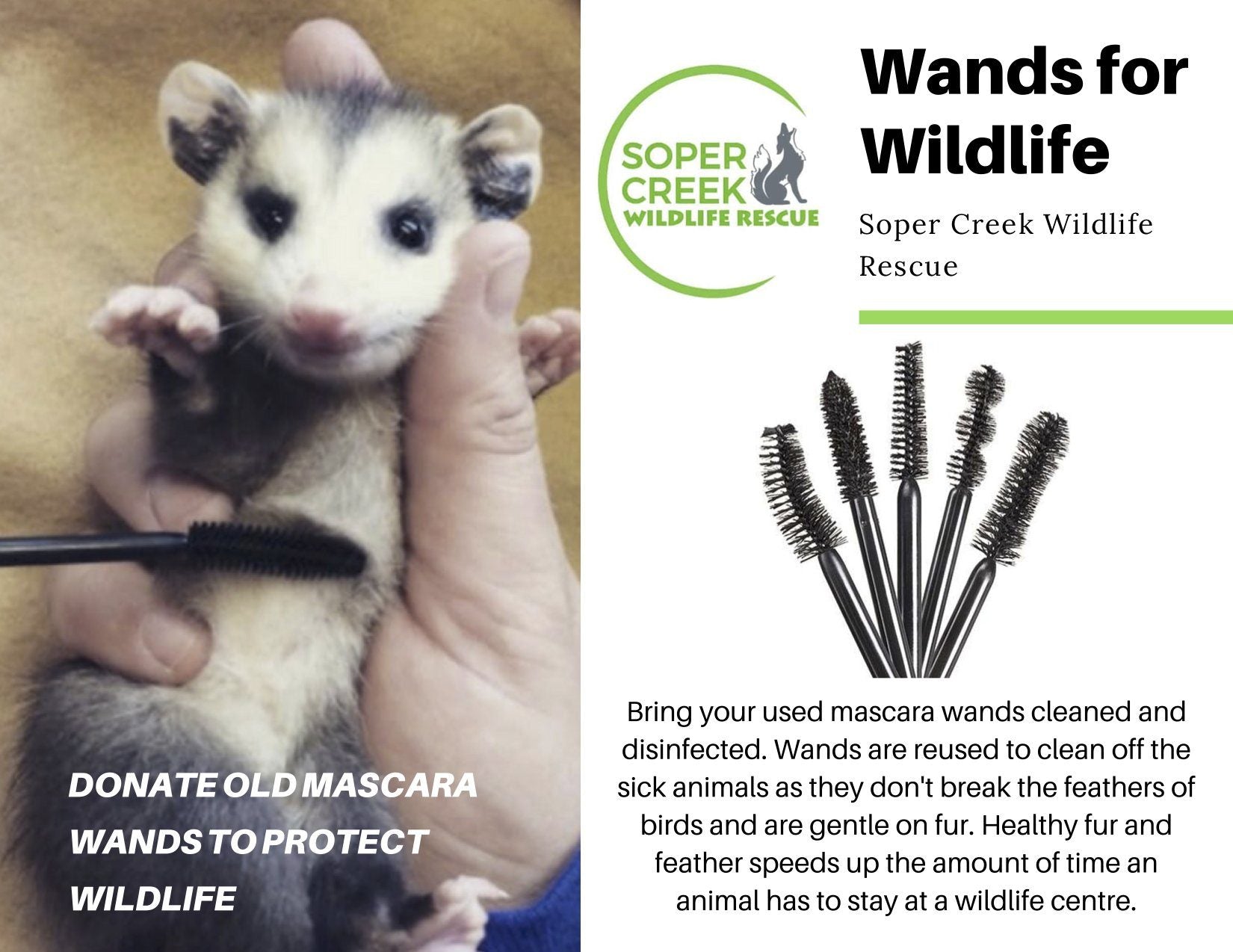 Did you know your old mascara wands can be re-used to protect wildlife? | Pretty Clean Shop
