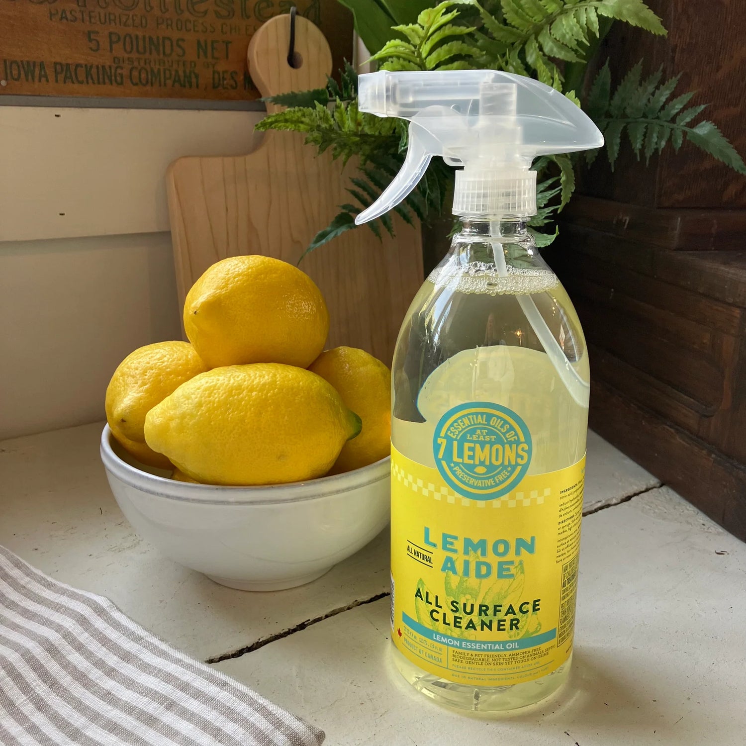🇨🇦 LEMON AIDE