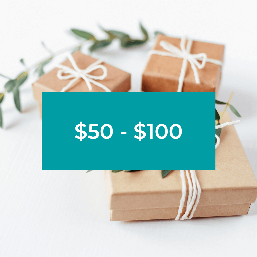 sustainable gifts between $50 and $100 