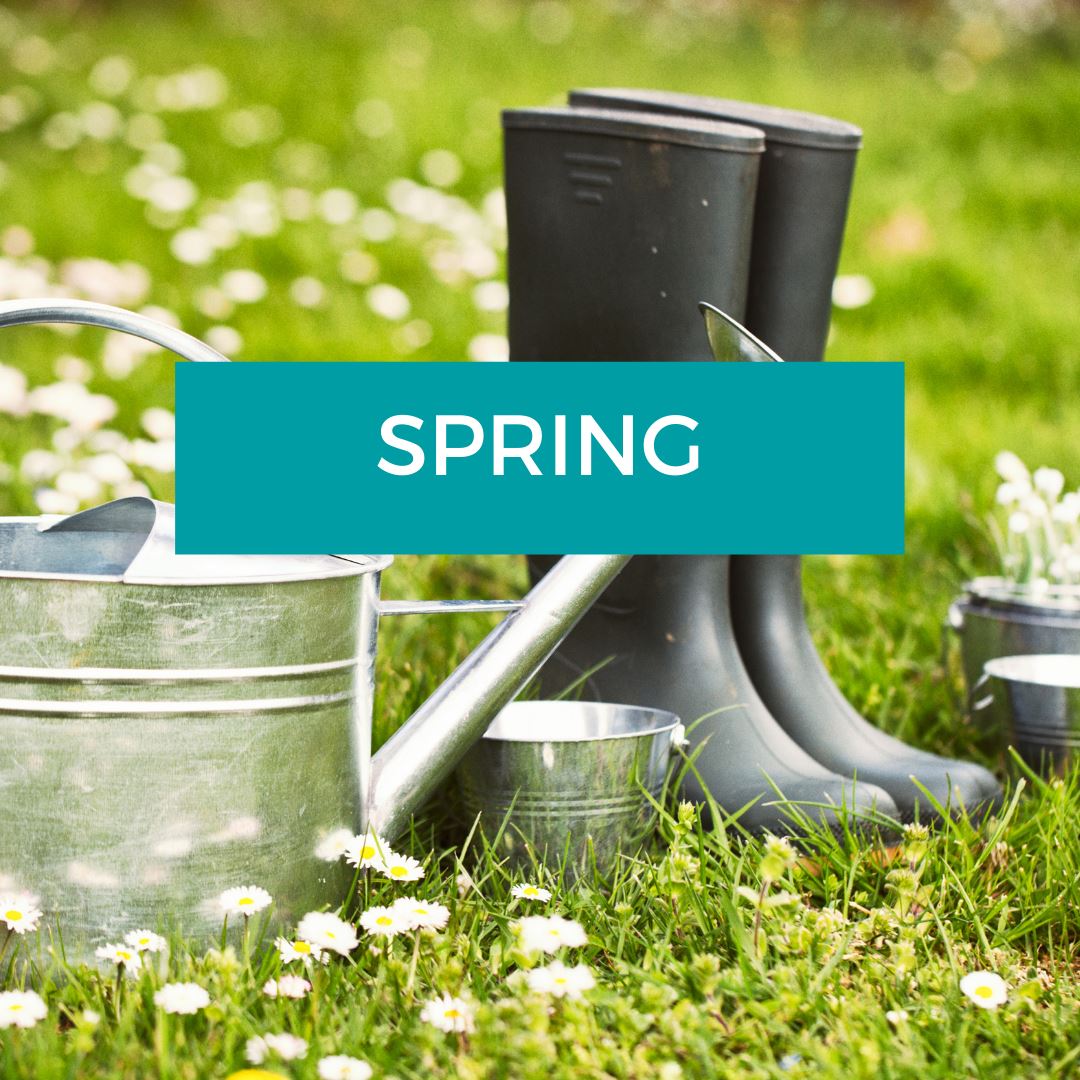 SPRING IS HERE