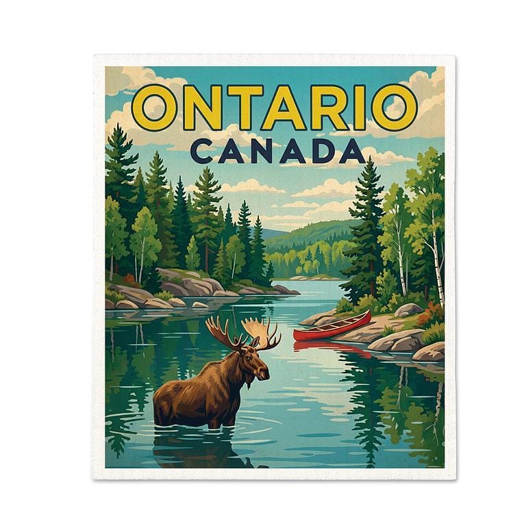 Reusable Swedish Sponge - Canada | prettycleanshop