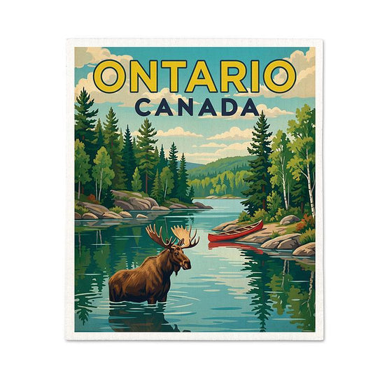 Reusable Swedish Sponge - Canada