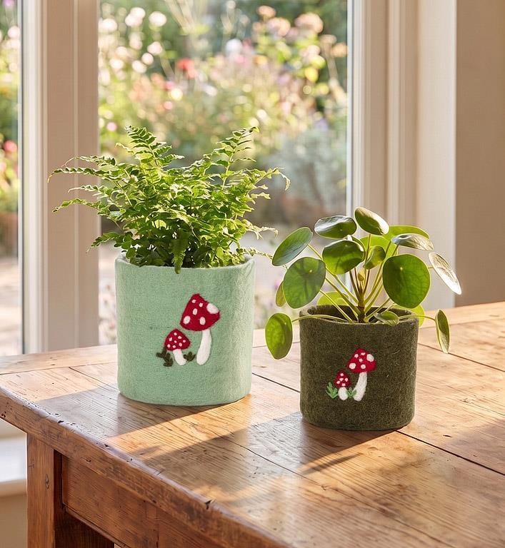 Felt Mushroom Planter Medium - Mint