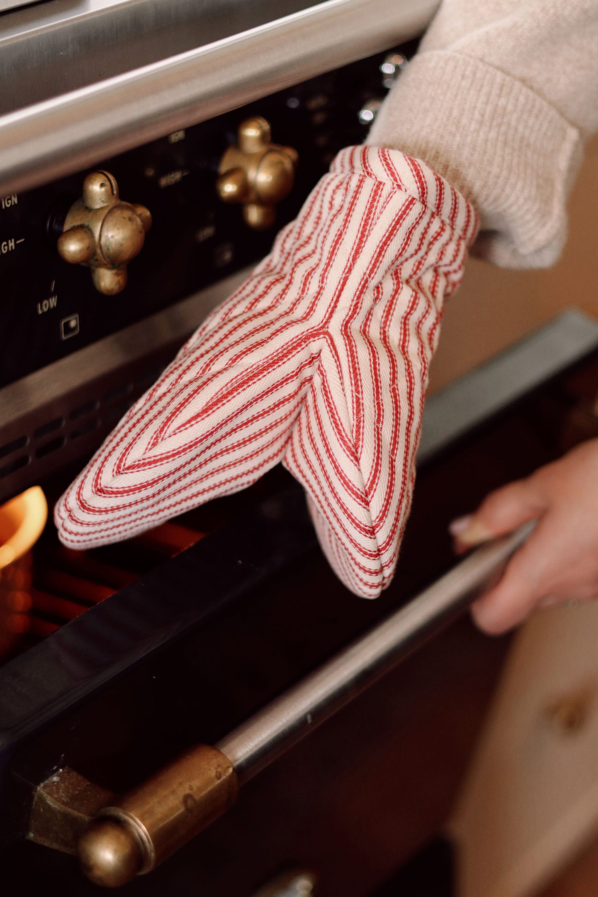 Ticking Oven Mitt-Pretty Clean Shop