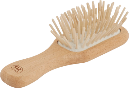 Pocket Hairbrush with Wooden Pegs