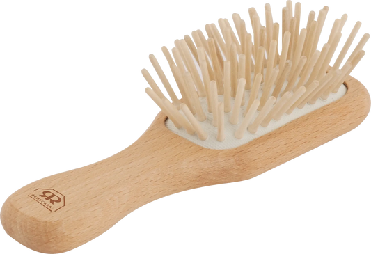 Pocket Hairbrush with Wooden Pegs