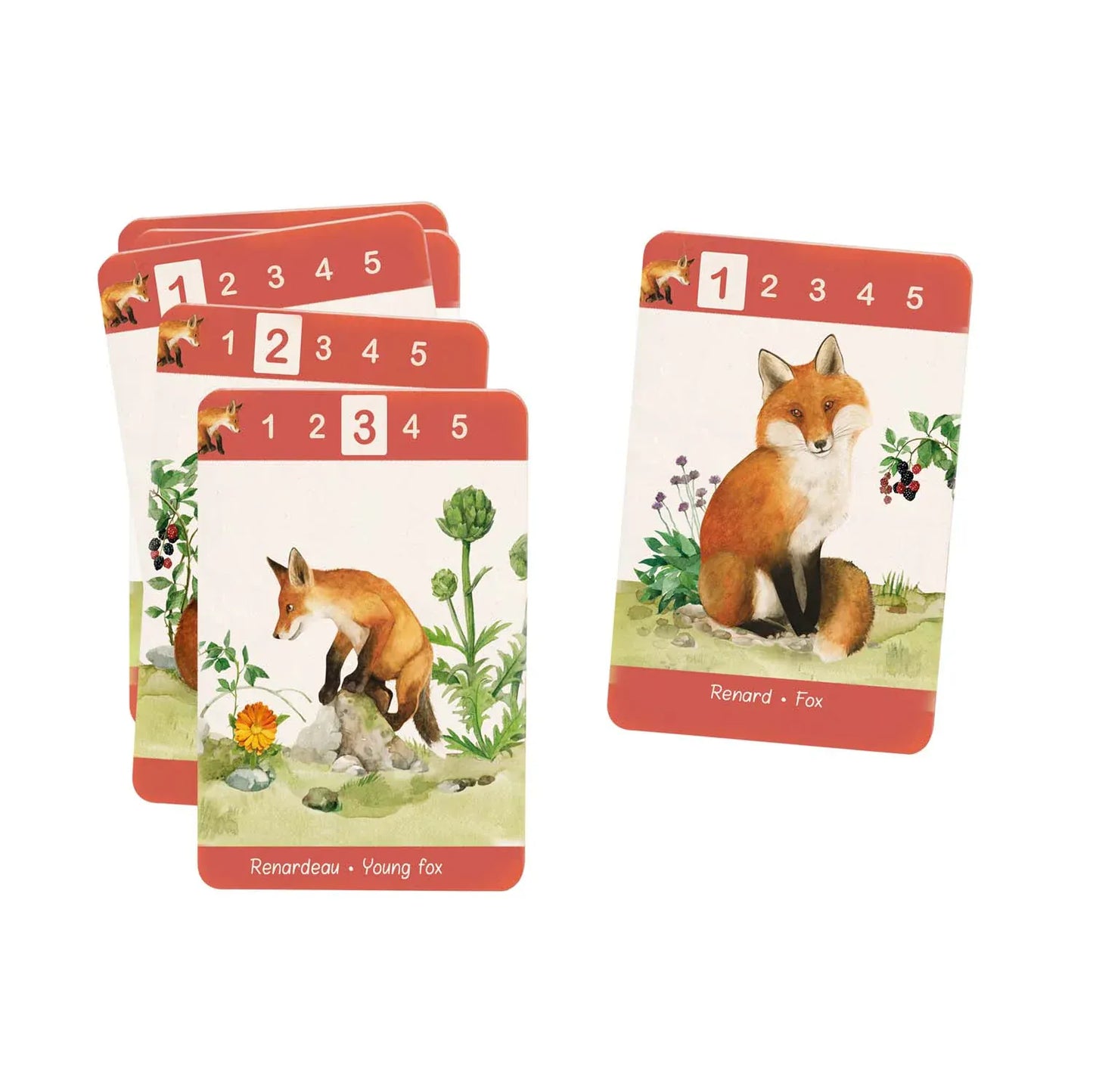 Le Jardinier Happy Families Word Game | prettycleanshop