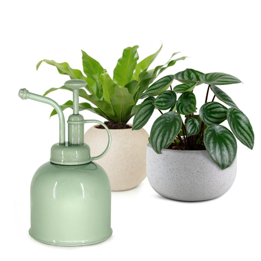 Plant Mister