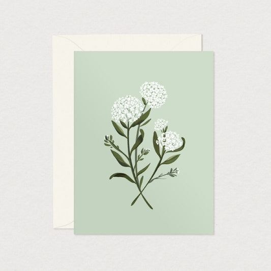 Greeting Card - Hydrangea