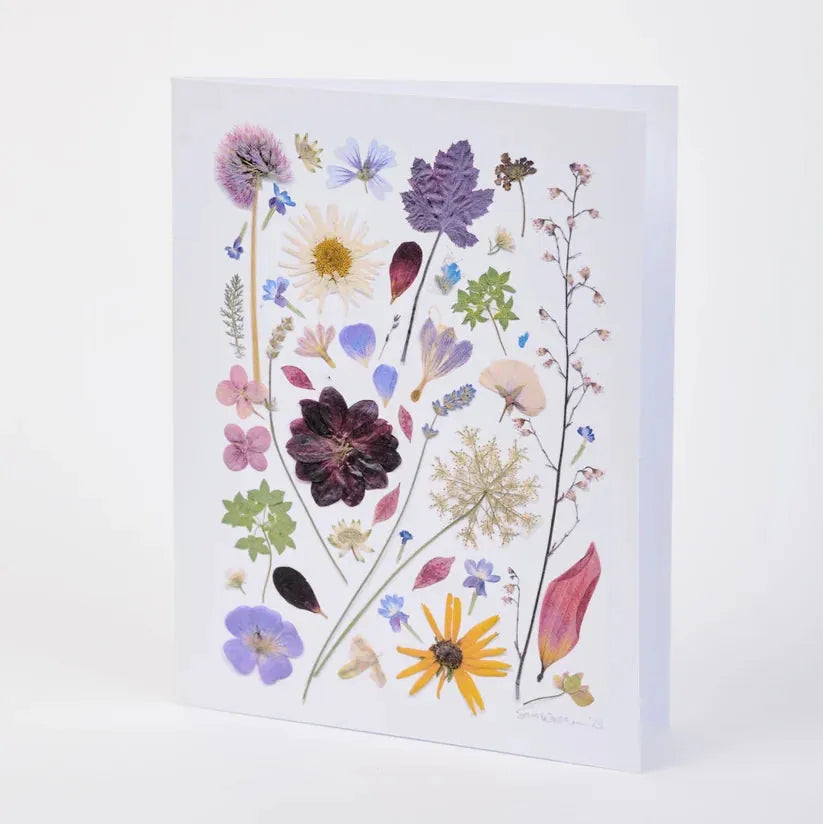 Assorted Pressed Botanical Note Cards - Box of 8