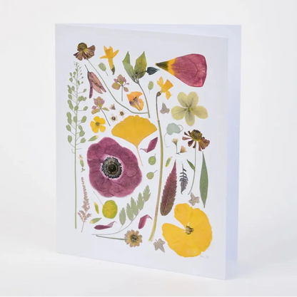 Assorted Pressed Botanical Note Cards - Box of 8