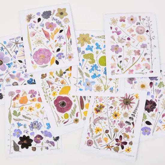 Assorted Pressed Botanical Note Cards - Box of 8