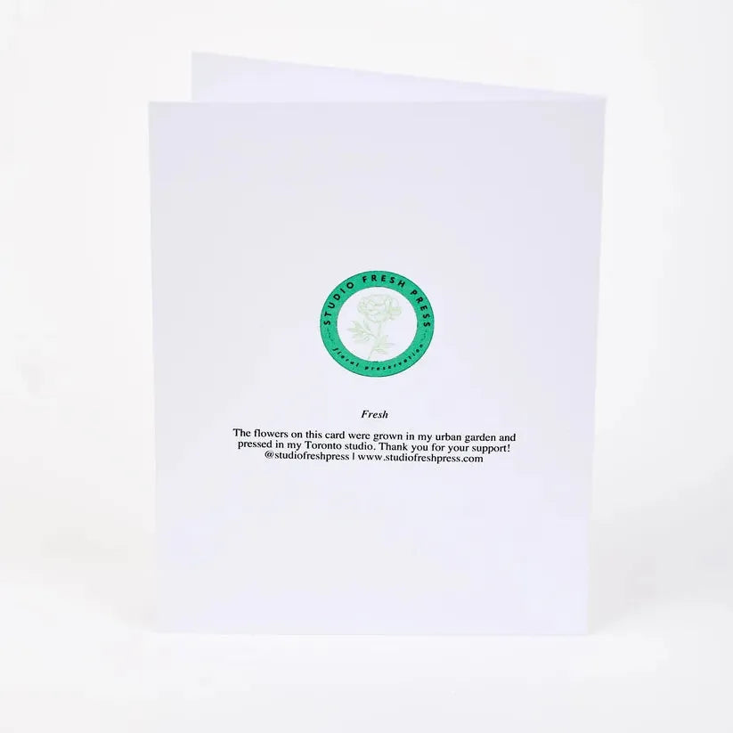 Assorted Pressed Botanical Note Cards - Box of 8