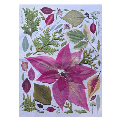 Pressed Botanical Christmas Cotton Tea Towel