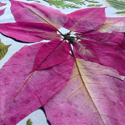 Pressed Botanical Christmas Cotton Tea Towel