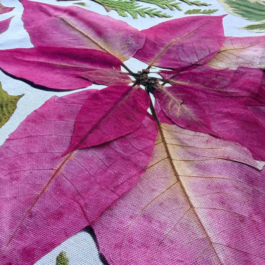 Pressed Botanical Christmas Cotton Tea Towel