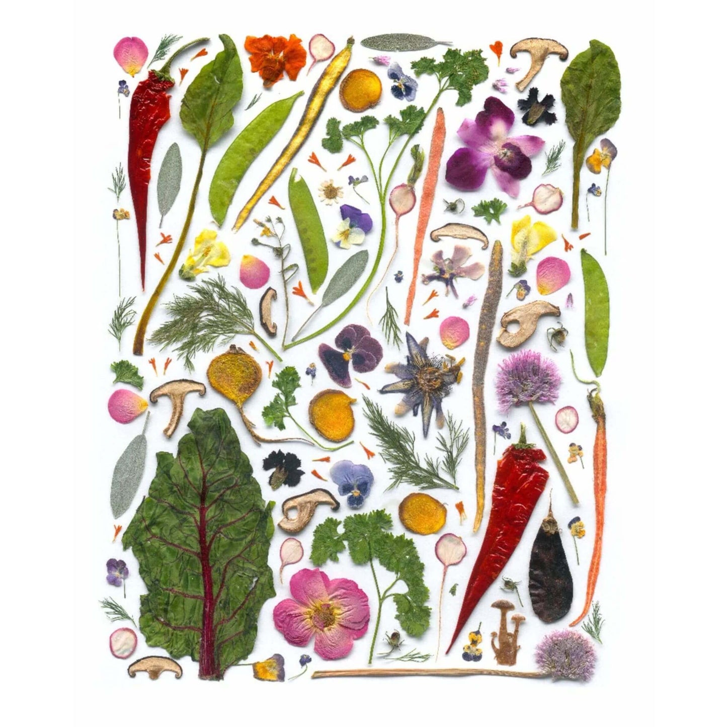 Pressed Botanical Cotton Tea Towels
