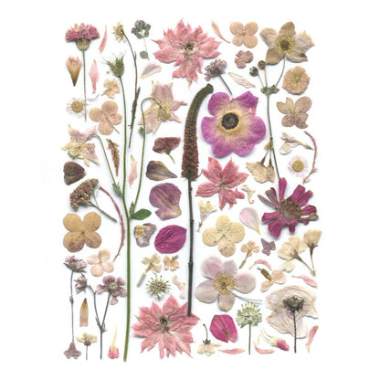 Pressed Botanical Cotton Tea Towels