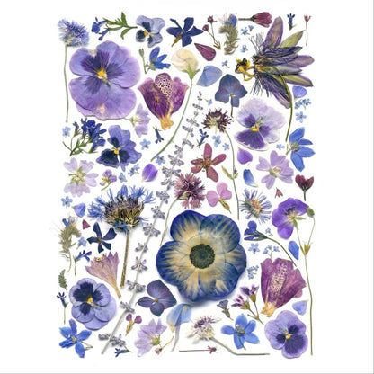Pressed Botanical Cotton Tea Towels